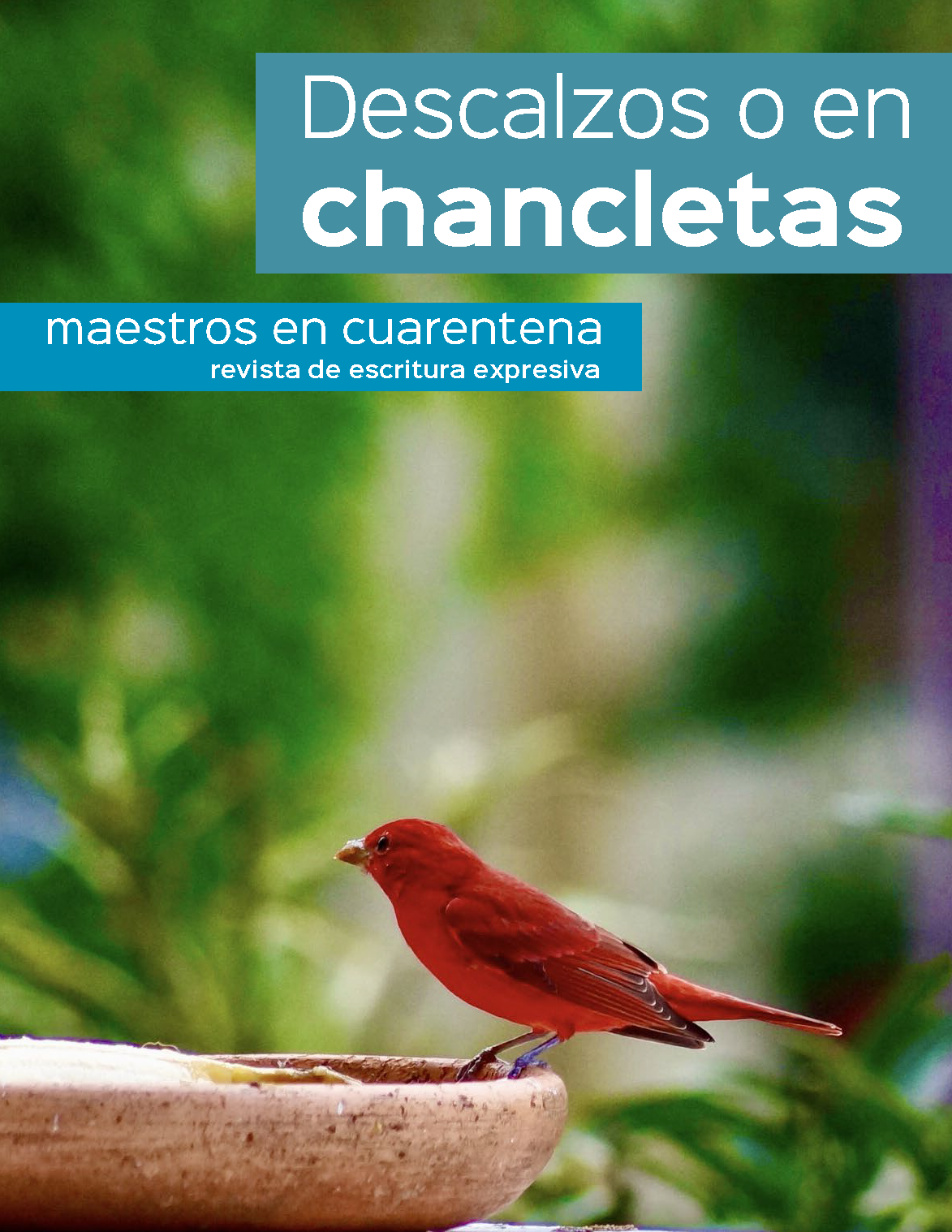 Cover of Descalzos o en chancletas
